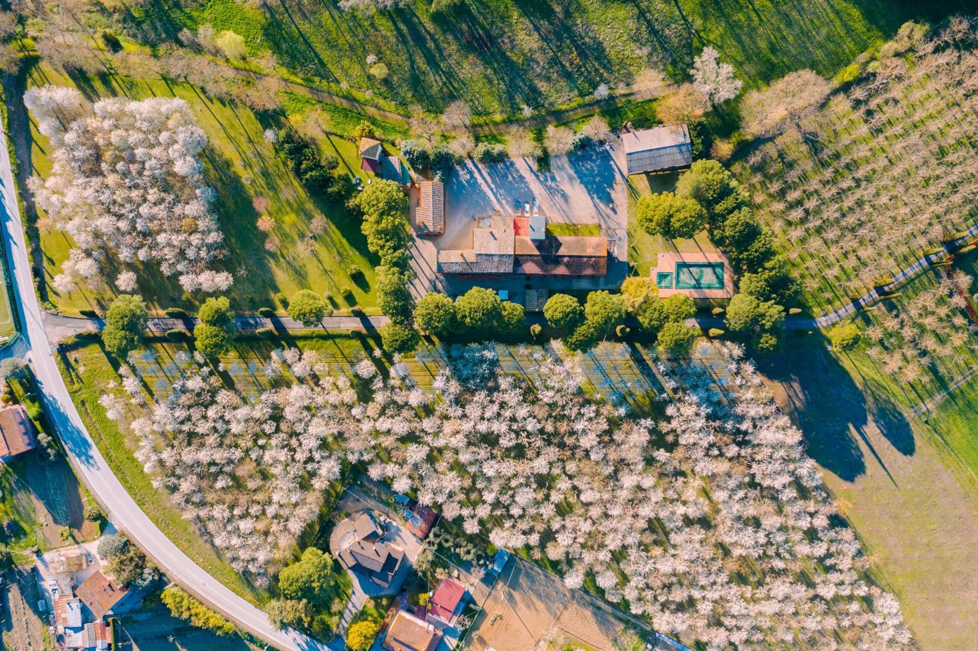 Hotel La Torretta 阿西西 外观 照片